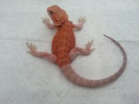 20130208_132355.jpg