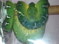 new 2013 pics 087.jpg