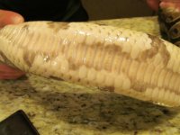 IMG_0021.jpg