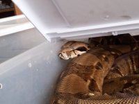 20130125_112403.jpg