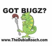 GotBugz Logo.jpg