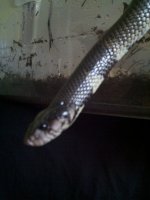 2012-12-01_15-21-42_175.jpg