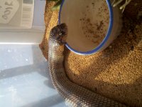 2013-01-18_10-10-03_440.jpg