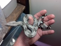 2013-03-17_22-58-33_976.jpg