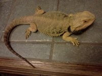 IMG_20130127_181639.jpg