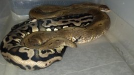 2012-10-16_19-22-26_229.jpg
