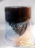 live-silkworm-pod-up-to-50-worms (edited).jpg live-silkworm-pod-up-to-50-worms (edited).jpg