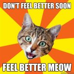 meow.jpg