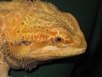 IMG_1923.JPG