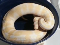 20121029_163757.jpg