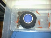 file snake 2.jpg