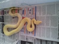 20130125_110310.jpg