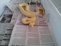 20130125_110316.jpg