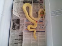 20130125_110326.jpg