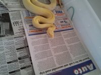 20130125_110333.jpg