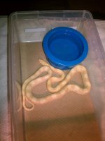 IMAG0419.jpg