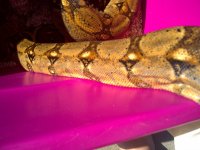 IMG-20121120-00392.jpg