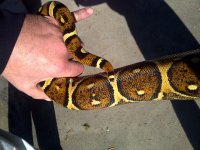 IMG-20121120-00398.jpg