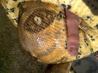 IMG-20121120-00397.jpg