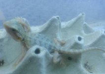 20130330_185837-1-1.jpg