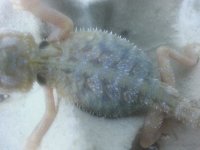 20130330_185908.jpg