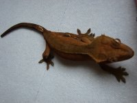 DSC05664.jpg
