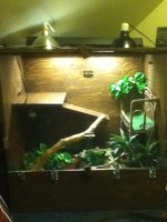 IMG_0070.jpg