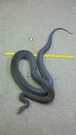 2013-03-29_13-29-24_80.jpg