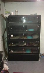 rack.jpg