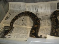 Picture 004.jpg