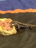 700.jpg