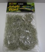 DSC01100.jpg