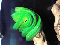 IMG_20120915_164640.jpg