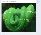 herpbid.jpg