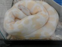 IMG_20121212_225553.jpg