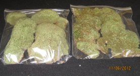 moss.jpg