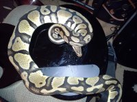 20130207_002247.jpg