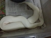 20130128_165547.jpg