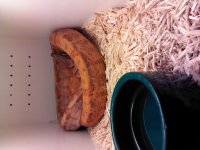 IMG_20120829_120337.jpg