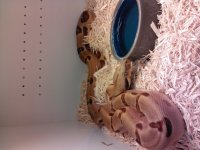 IMG_20121205_122717.jpg