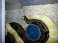 20121109_021435.jpg