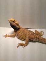 i phone pics 001.jpg