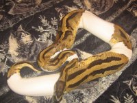 IMG_8992[1].jpg