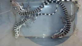 2013-02-21_18-09-25_447.jpg
