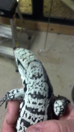 2013-02-21_18-08-21_589.jpg