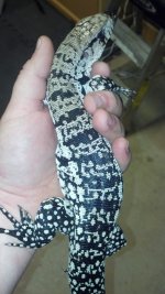 2013-02-21_18-12-33_576.jpg