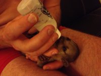 Bottle Baby.jpg