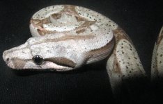 IMG_0015.jpg