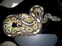 20130207_002350.jpg