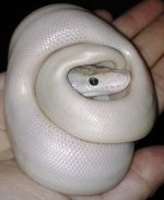 20130119_222030.jpg